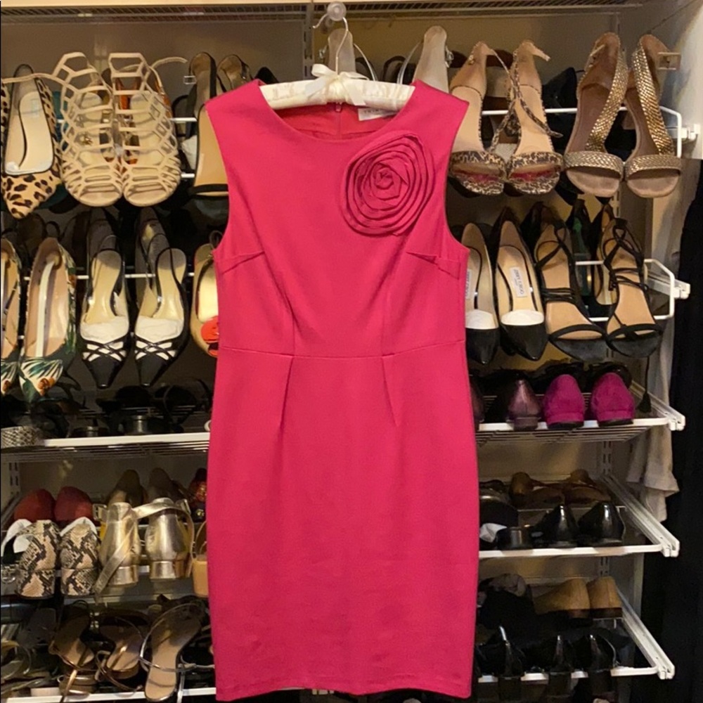Pink Dress by Trina Turk